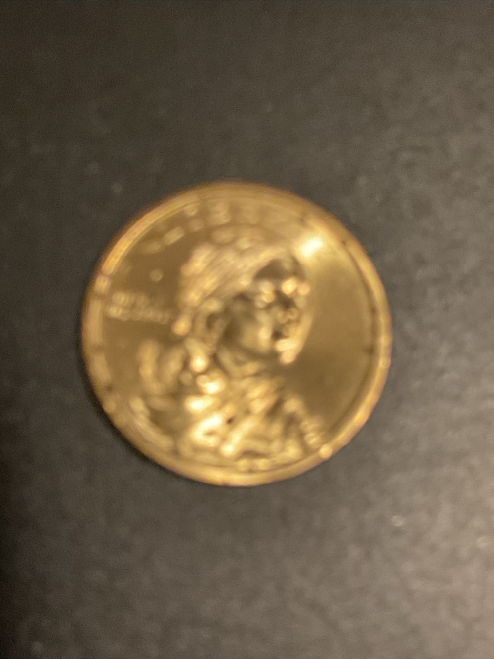 Sacagawea $1 Coin